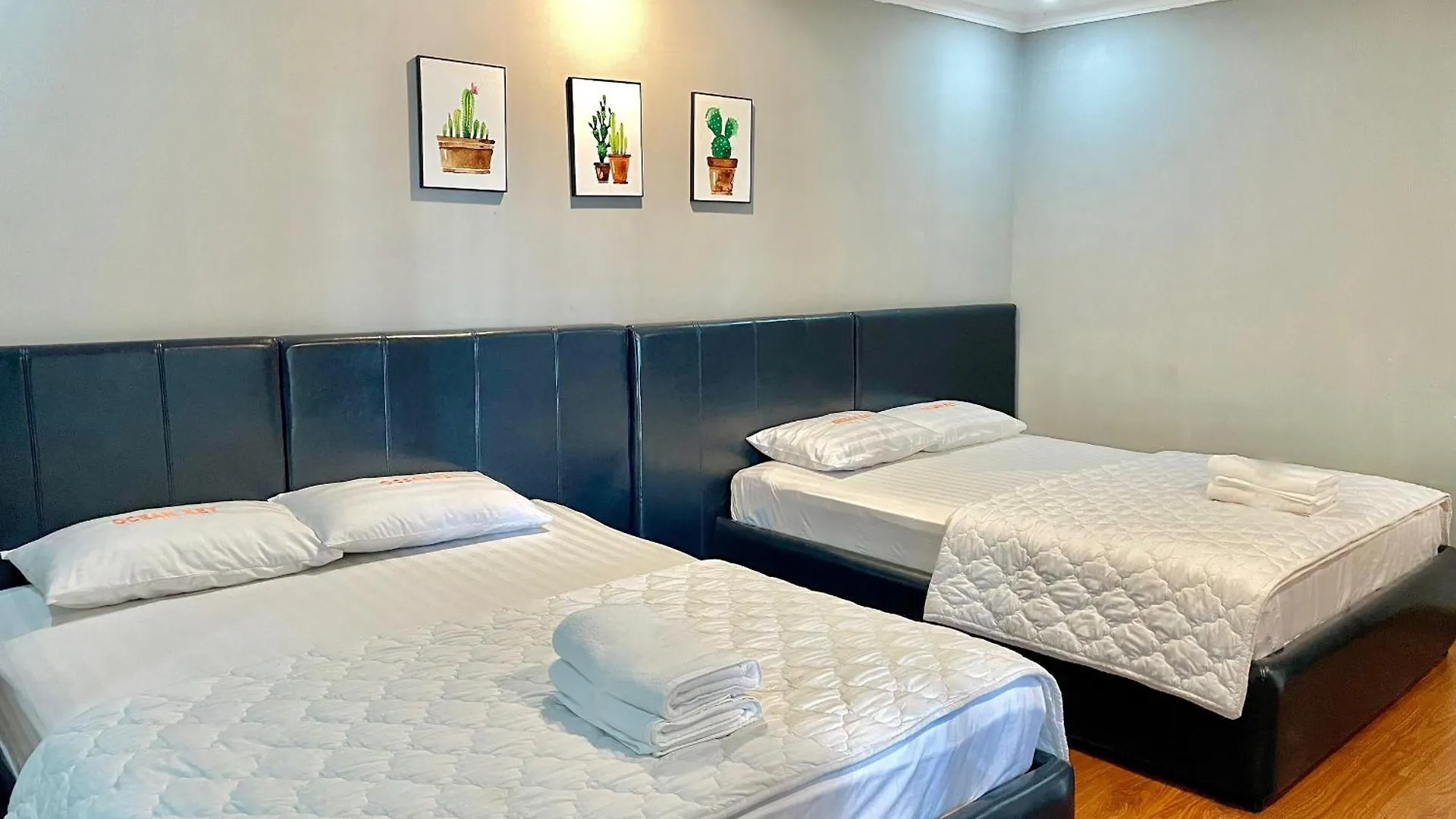 Ocenkey Welcome You To Vung Tau With 3Bedroom Vietnam